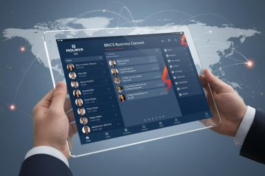 Цифровая платформа Молния обеспечит безопасное и удобное взаимодействие бизнеса